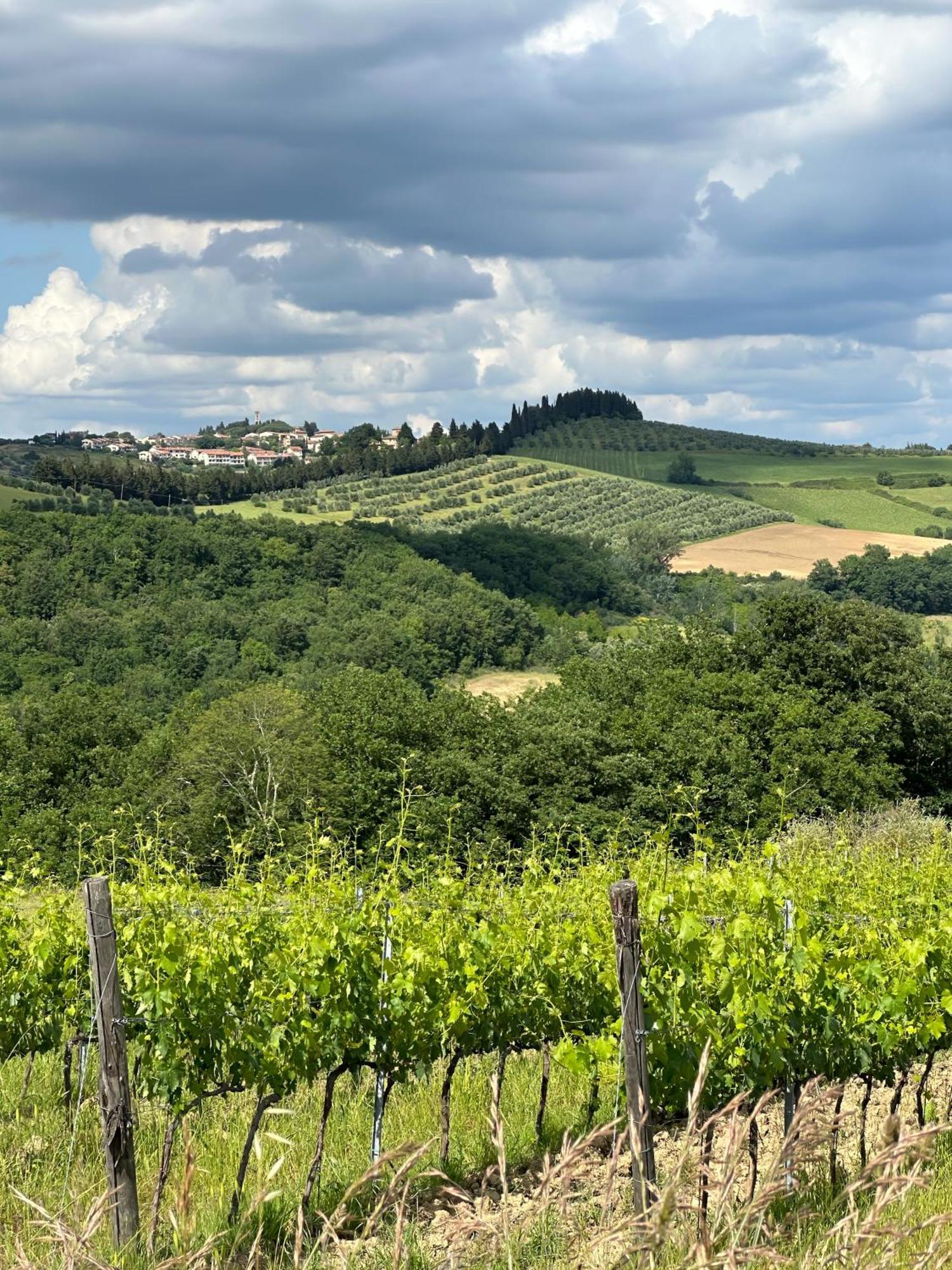 Agriturismo Fattoria Sant'Appiano Barberino di Val dʼElsa Extérieur photo